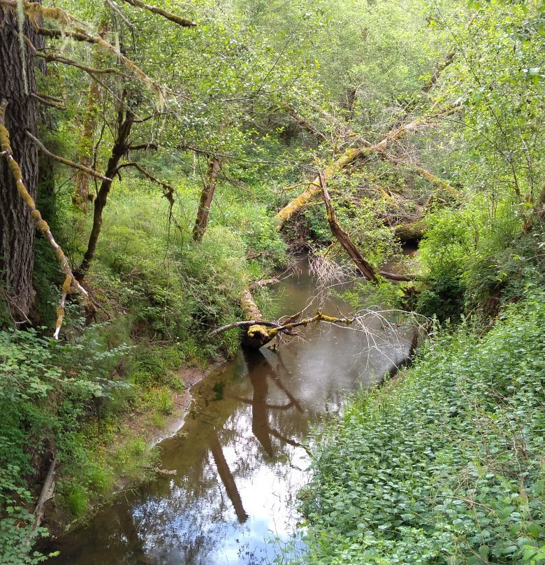 Banks-Vernonia State Trail-Vernonia必去景点