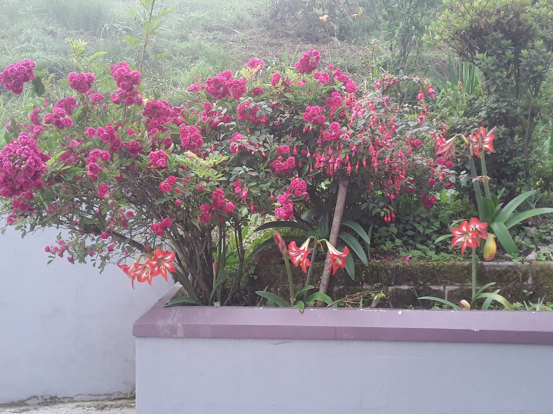 Lava Jamgon Kongtrul Monastery-Lava必去景点