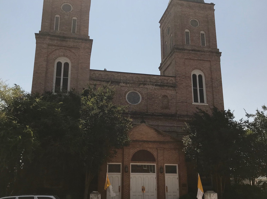 The Minor Basilica Of The Immaculate Conception景点图片