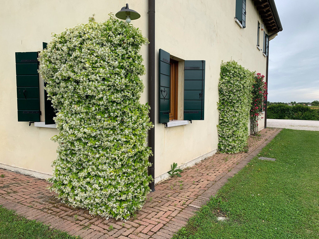 Il Rifugio del Poeta主图