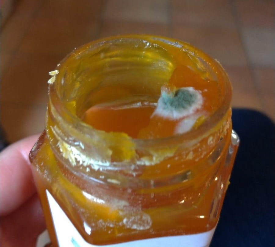 Country House Erba Regina主图