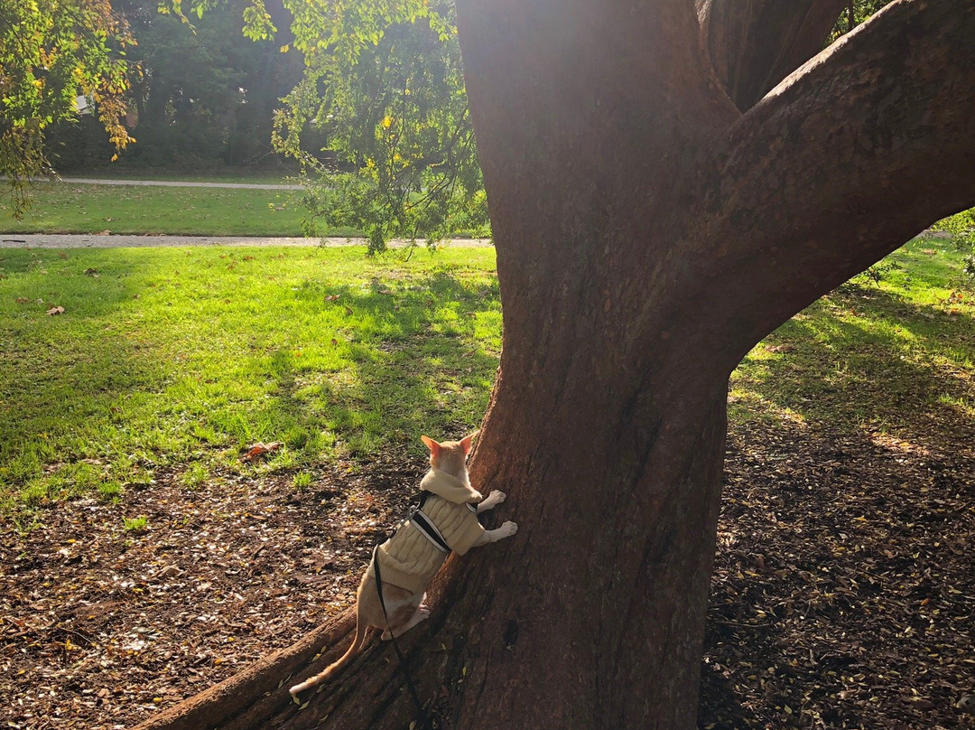 Malvern Gardens-Malvern必去景点