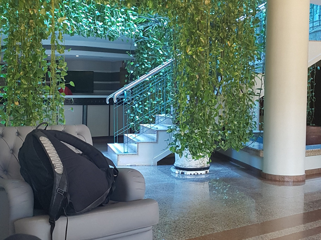 Pousada dos Girassois主图