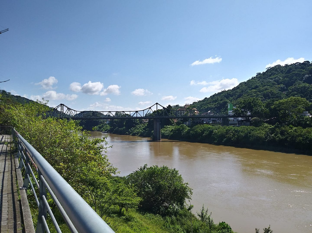 Ponte Aldo Pereira de Andrade-Blumenau必去景点
