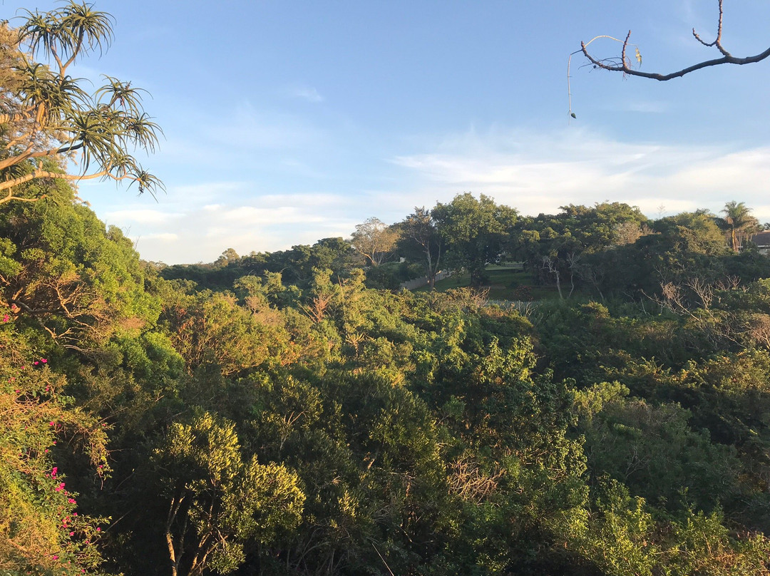 The Loerie Hide主图