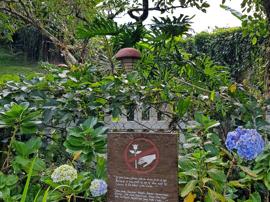 诺瓦斯朋卡克度假村主图
