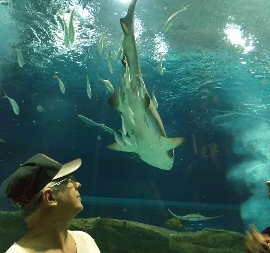 AquaRio-里约热内卢必去景点