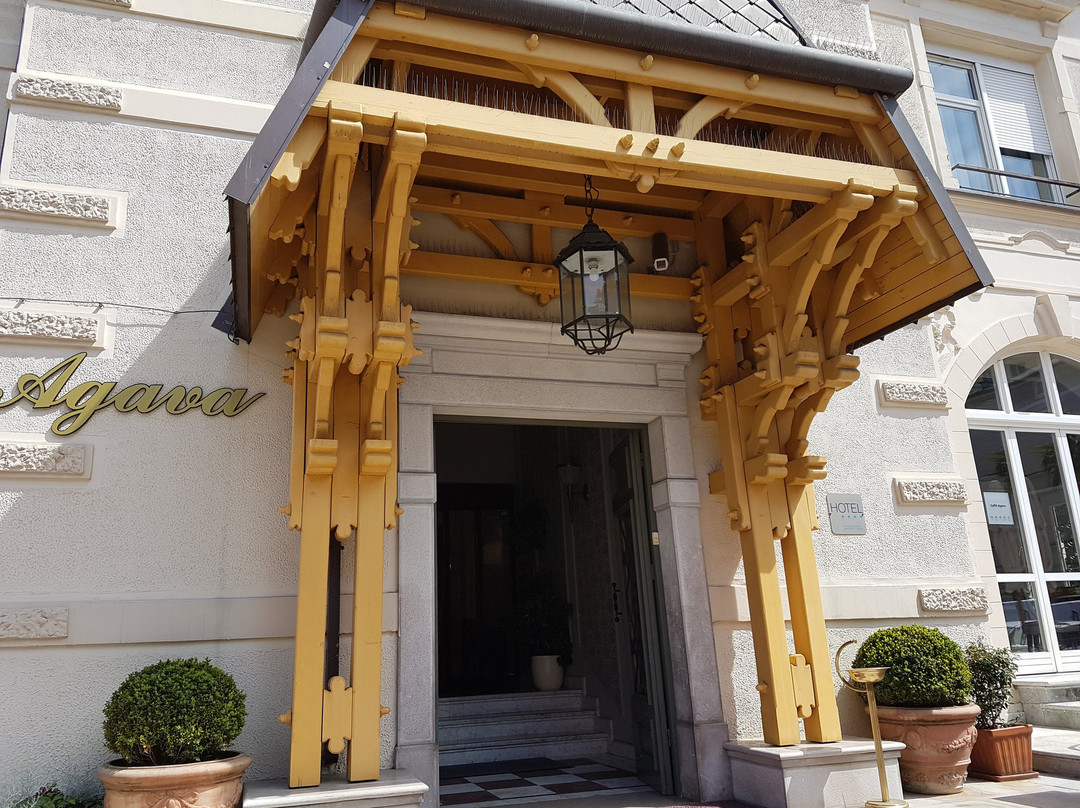 阿加瓦酒店主图