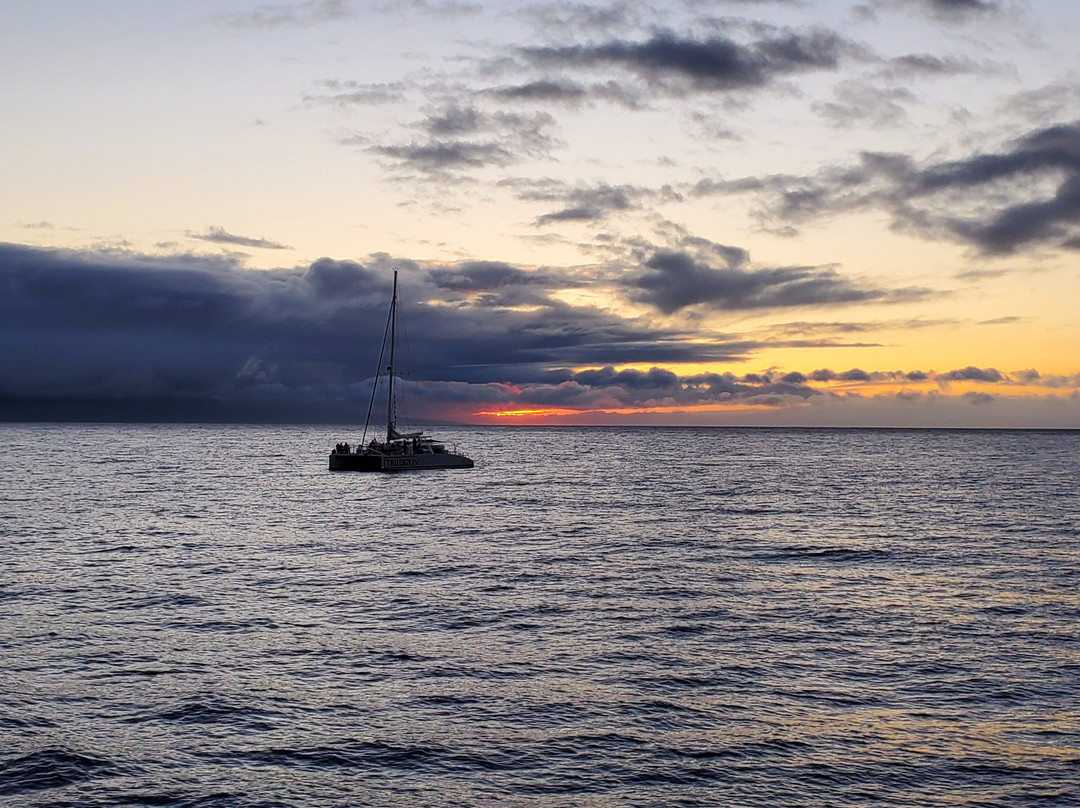 Hawaii Ocean Project景点图片