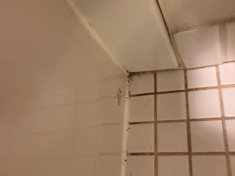 La Quinta Inn by Wyndham Cleveland Independence主图