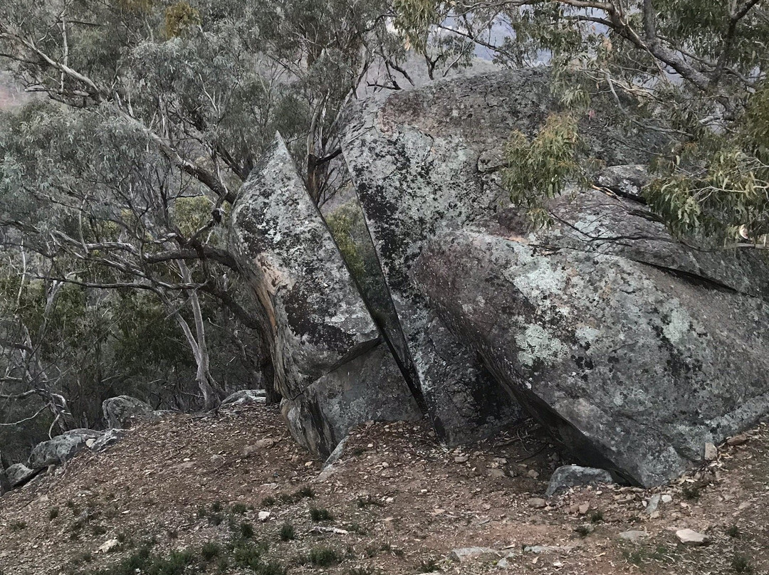Merlins Lookout-Hill End必去景点