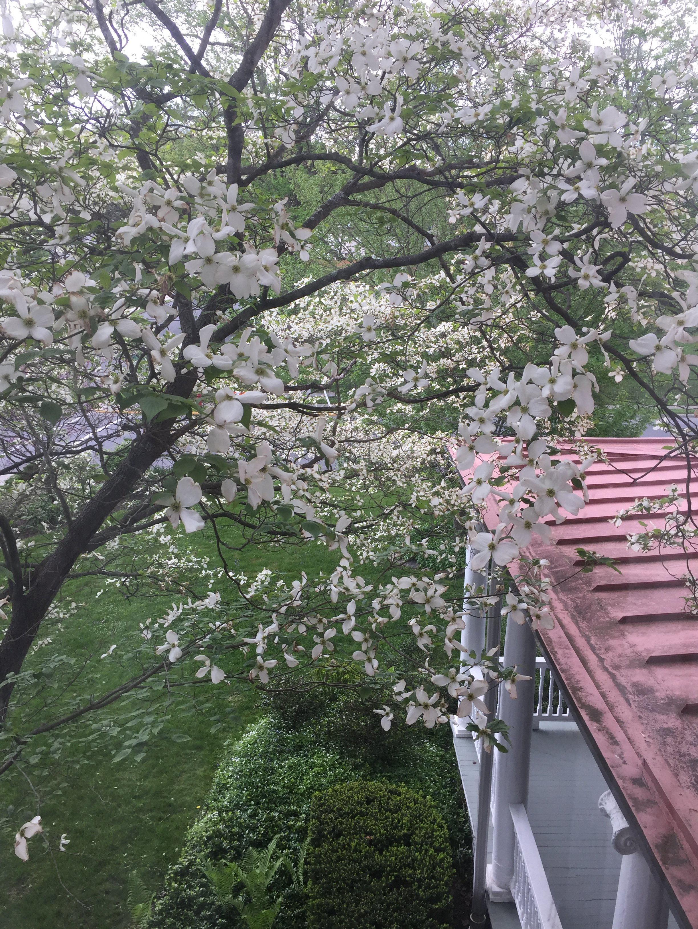 The Chancellor's House-酒店景观