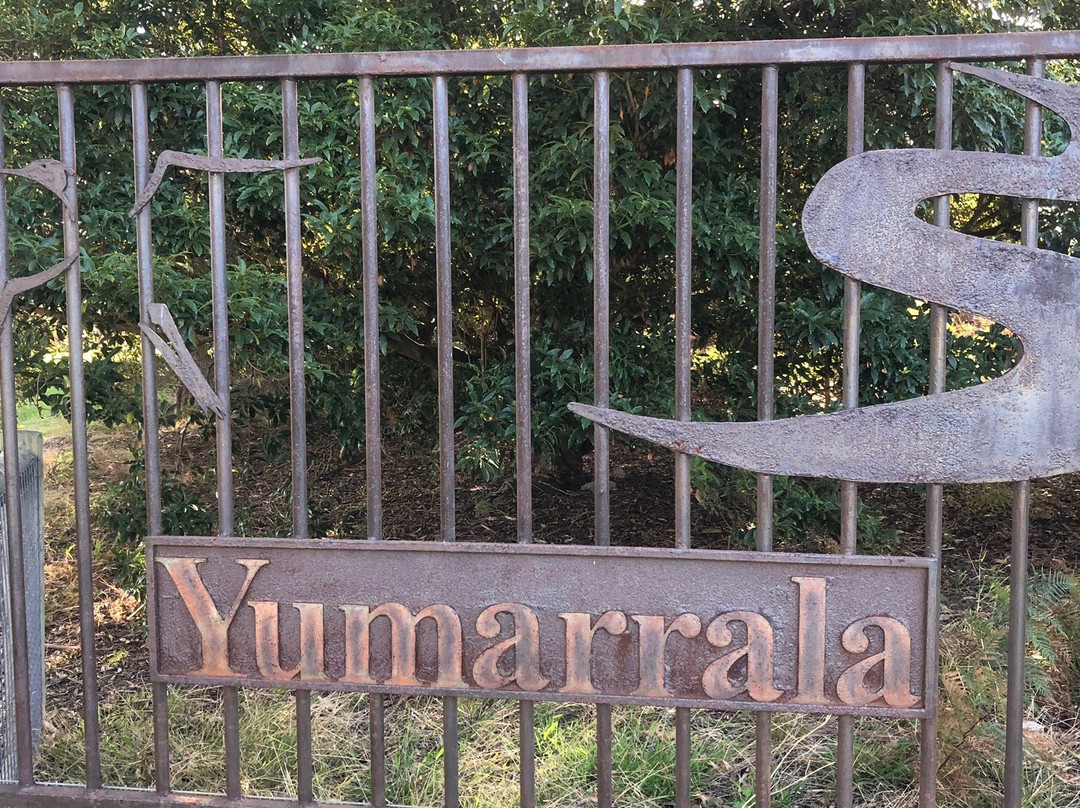 Yumarrala Wetlands景点图片