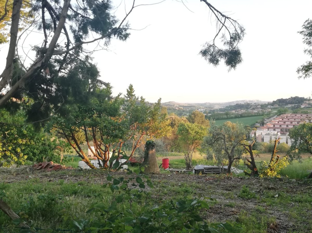 B&B Villa Colle主图