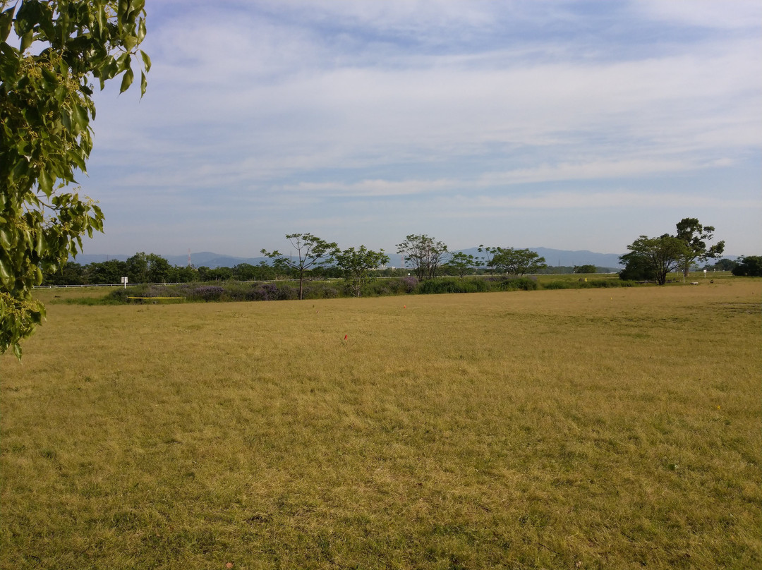Yodogawa Kasen Park景点图片