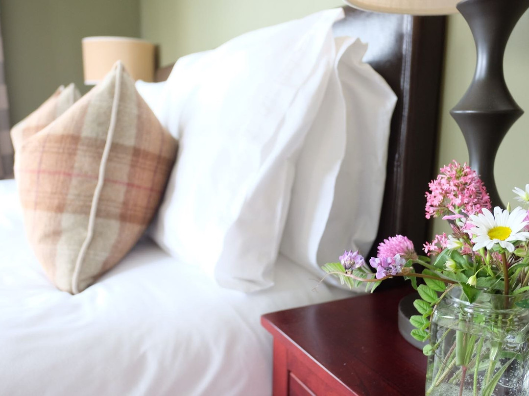 Blue Horizons B&B主图