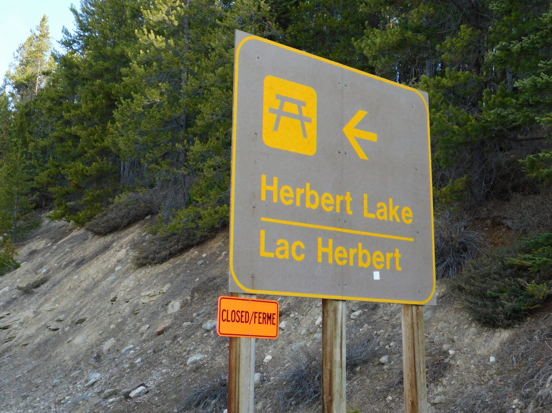 Herbert Lake景点图片