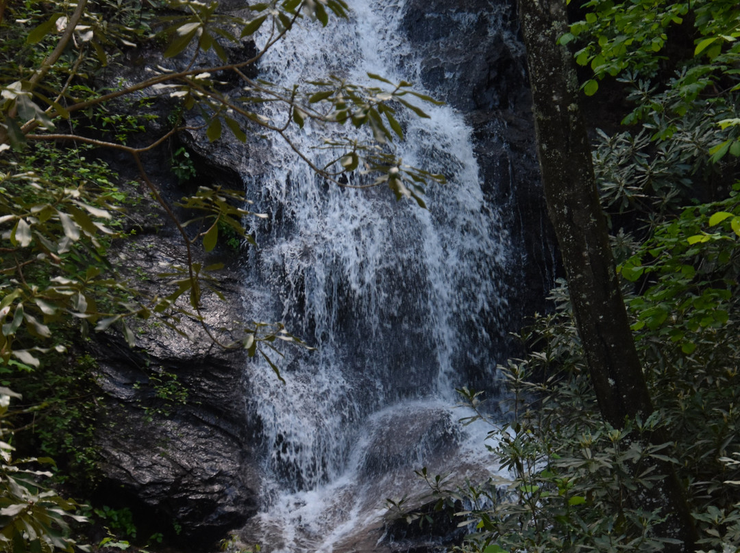 Log Hollow Falls景点图片