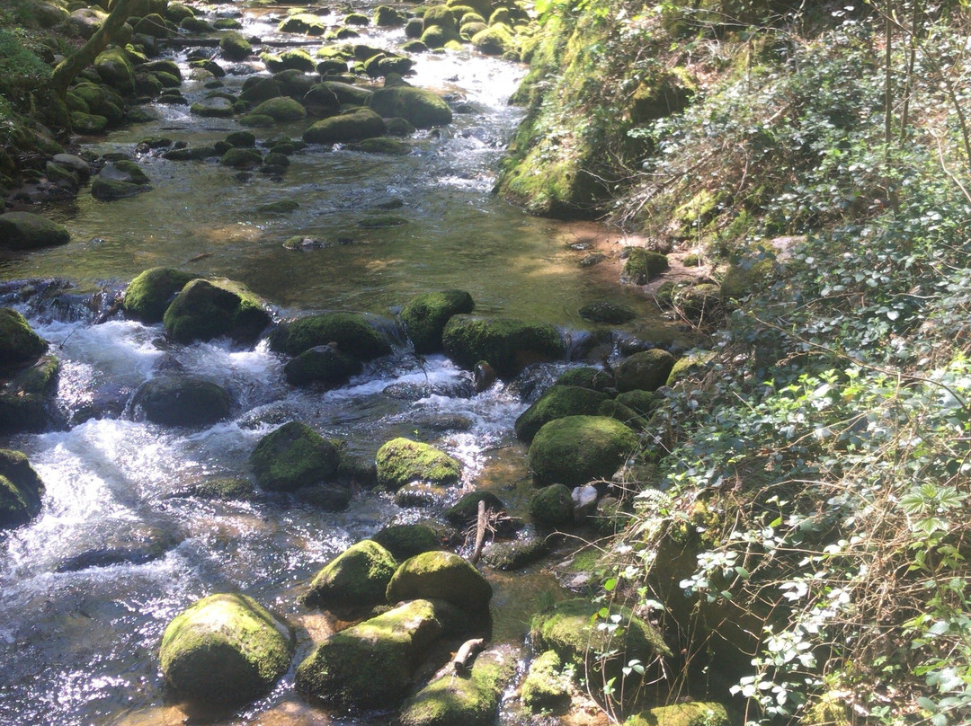 Geroldsau Waterfall景点图片