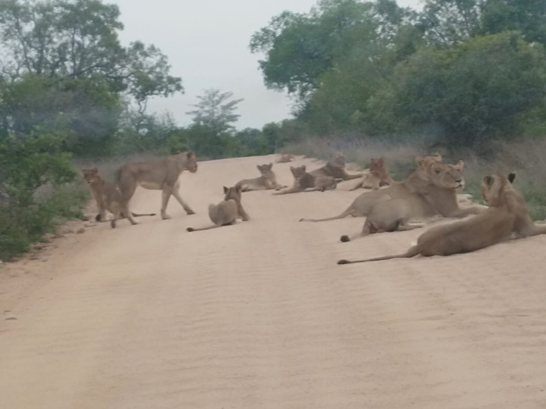 Belfast tours and safaris-雾观必去景点
