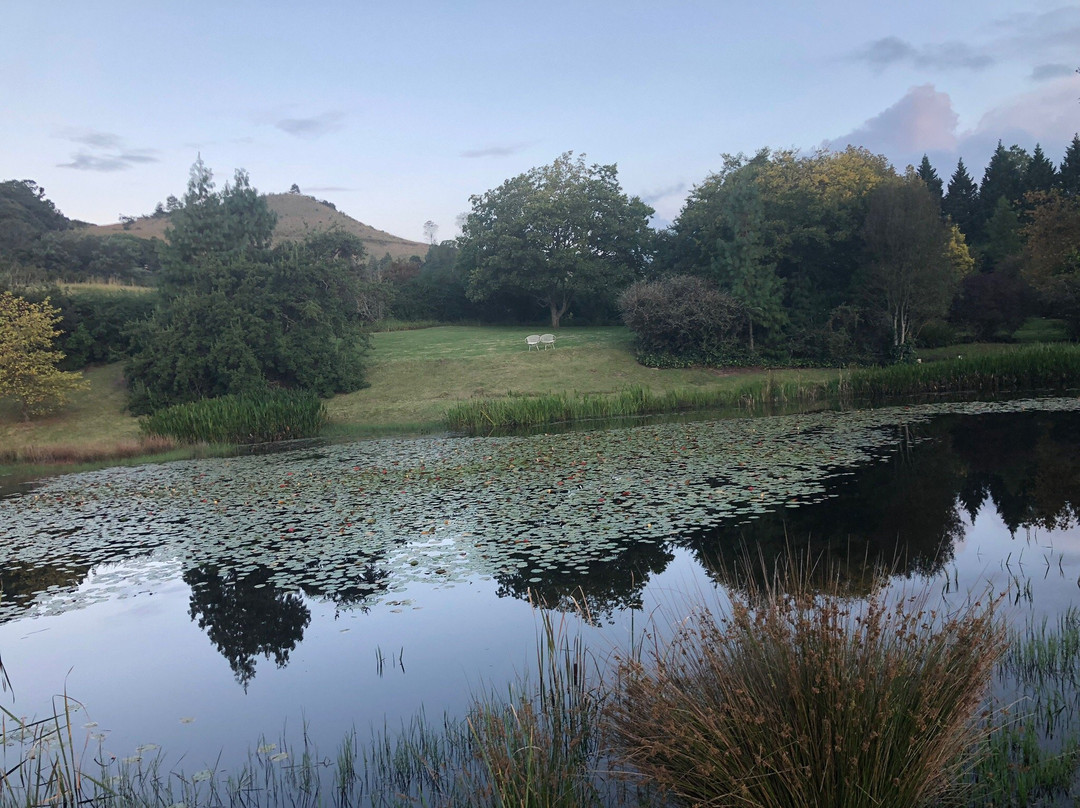 Twin Pools Lodge Bed & Breakfast主图