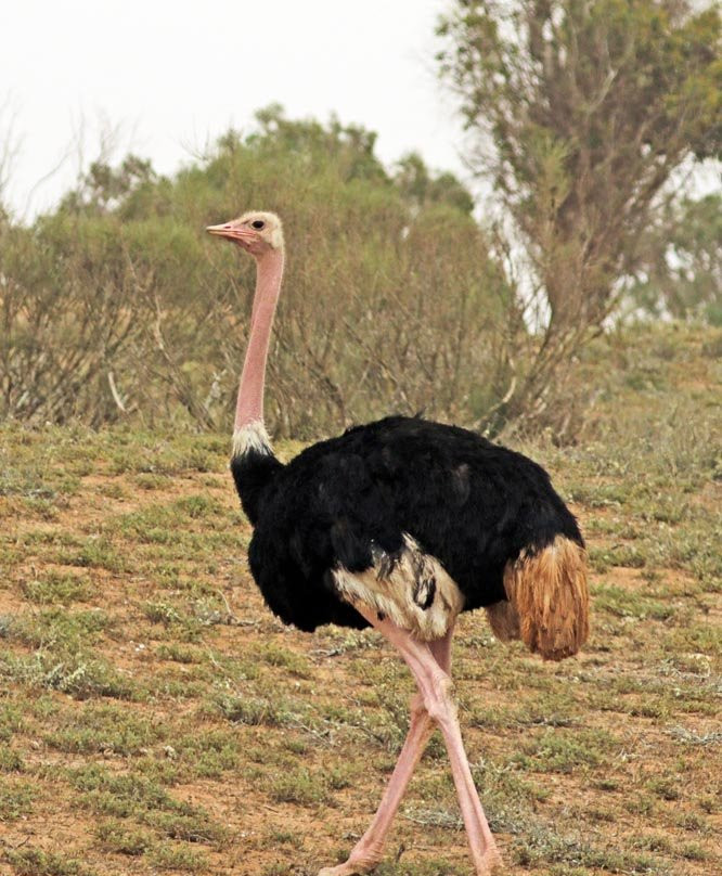 Guide Lahcen-Sidi R'bat必去景点