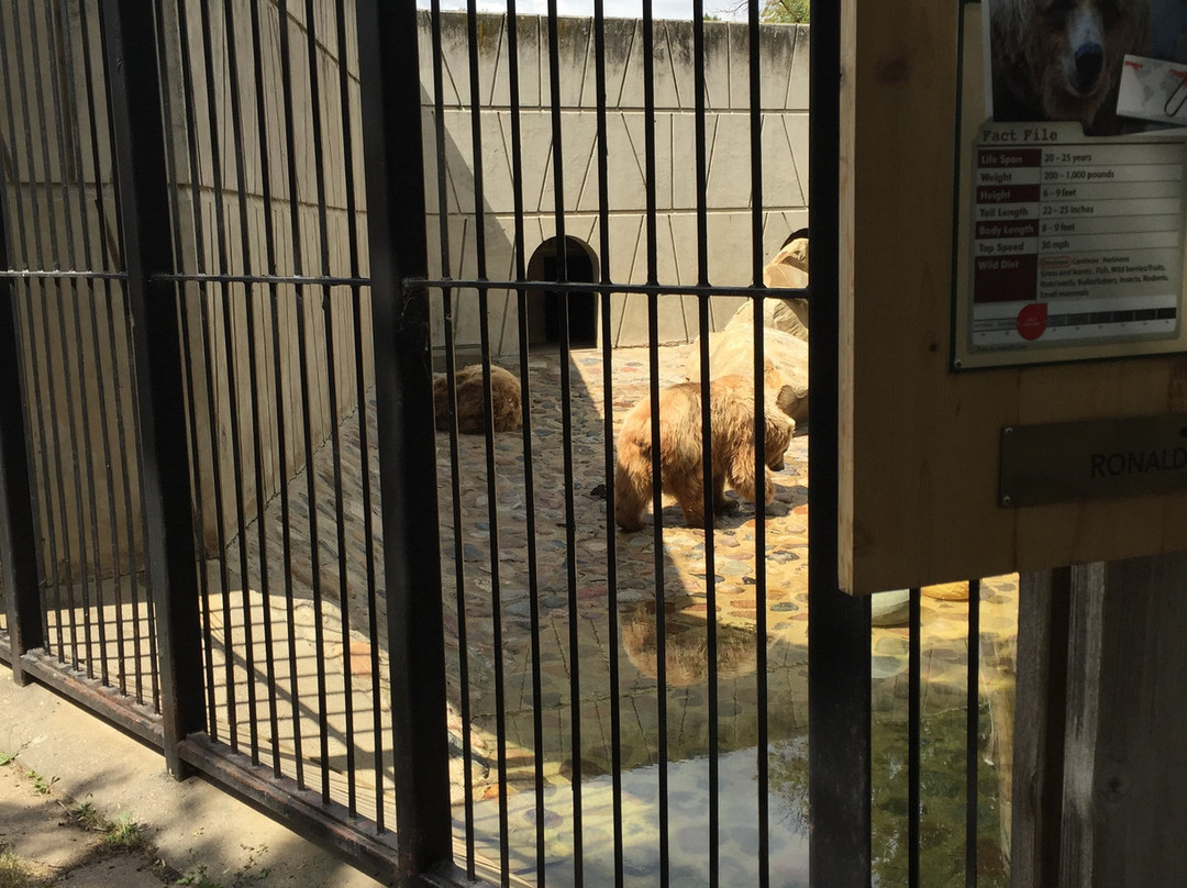 Roosevelt Park Zoo-Minot必去景点