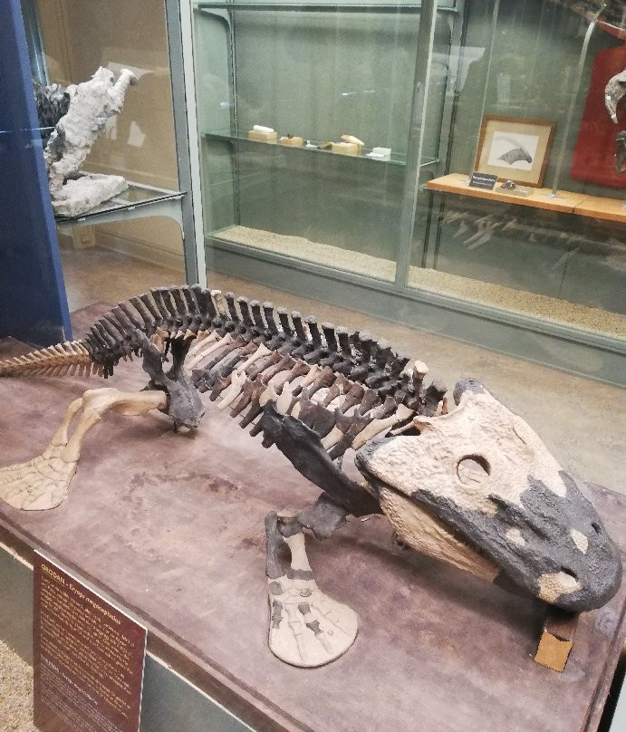 Evolutionsmuseet-乌普萨拉必去景点