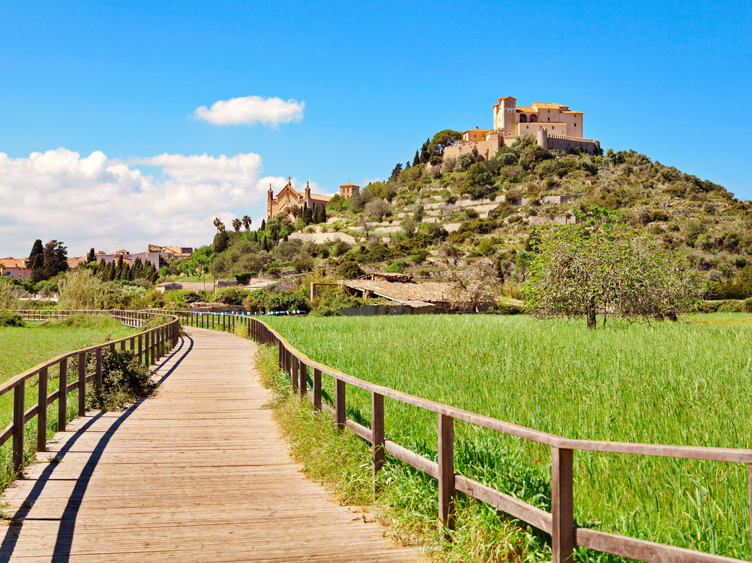 Excursions La Mallorca-Cala Ratjada必去景点
