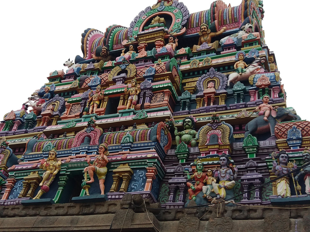 Arulmigu Gneeliwaneswarar Temple景点图片