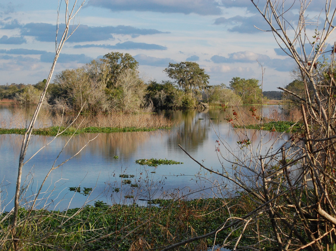 Marshall Hampton Reserve-温特黑文必去景点