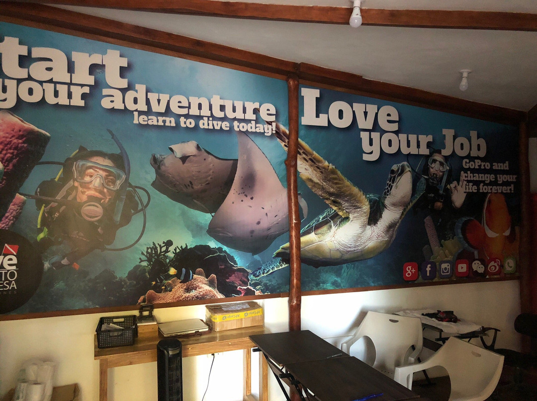 Divepuertoprincesa Dive Center-公主港必去景点