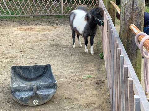 Yasutomi Farm-冈山市必去景点