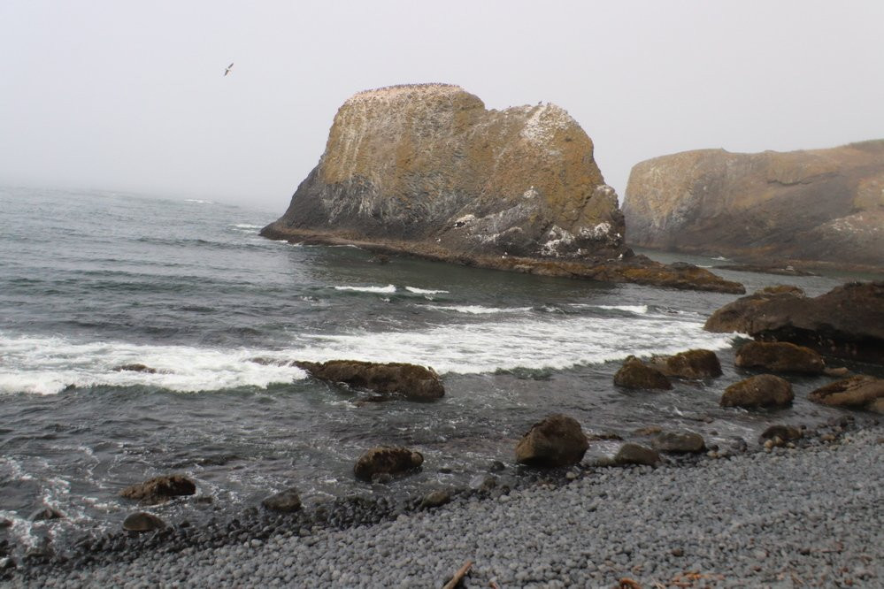 Cobble Beach-纽波特必去景点