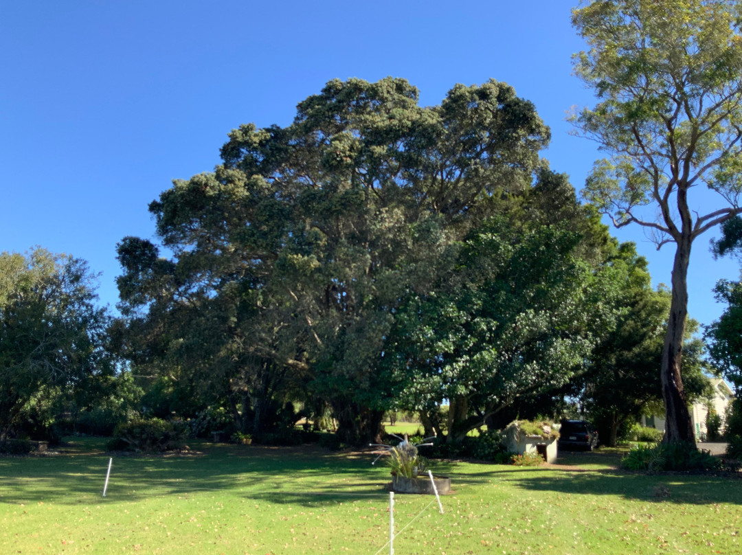 Lavalla Estate主图