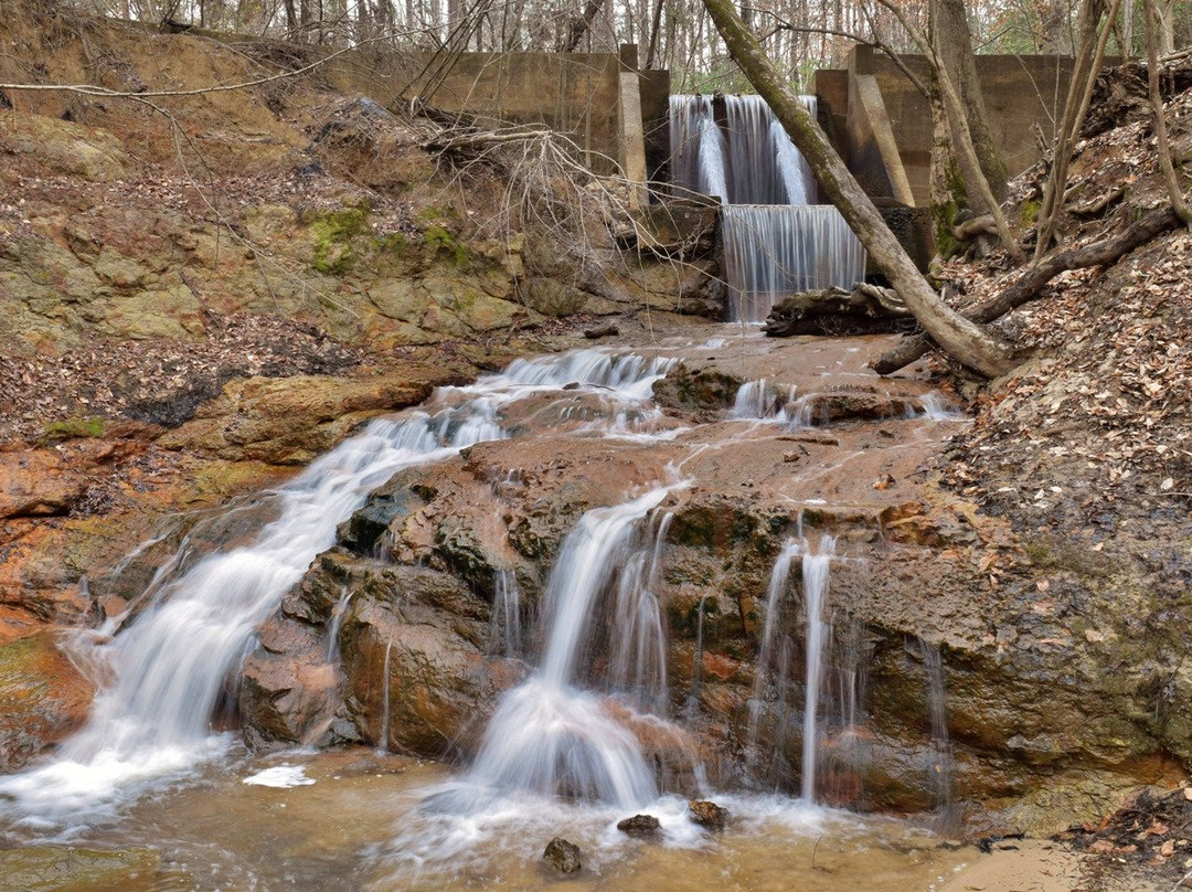 Cape Fear River Trail景点图片