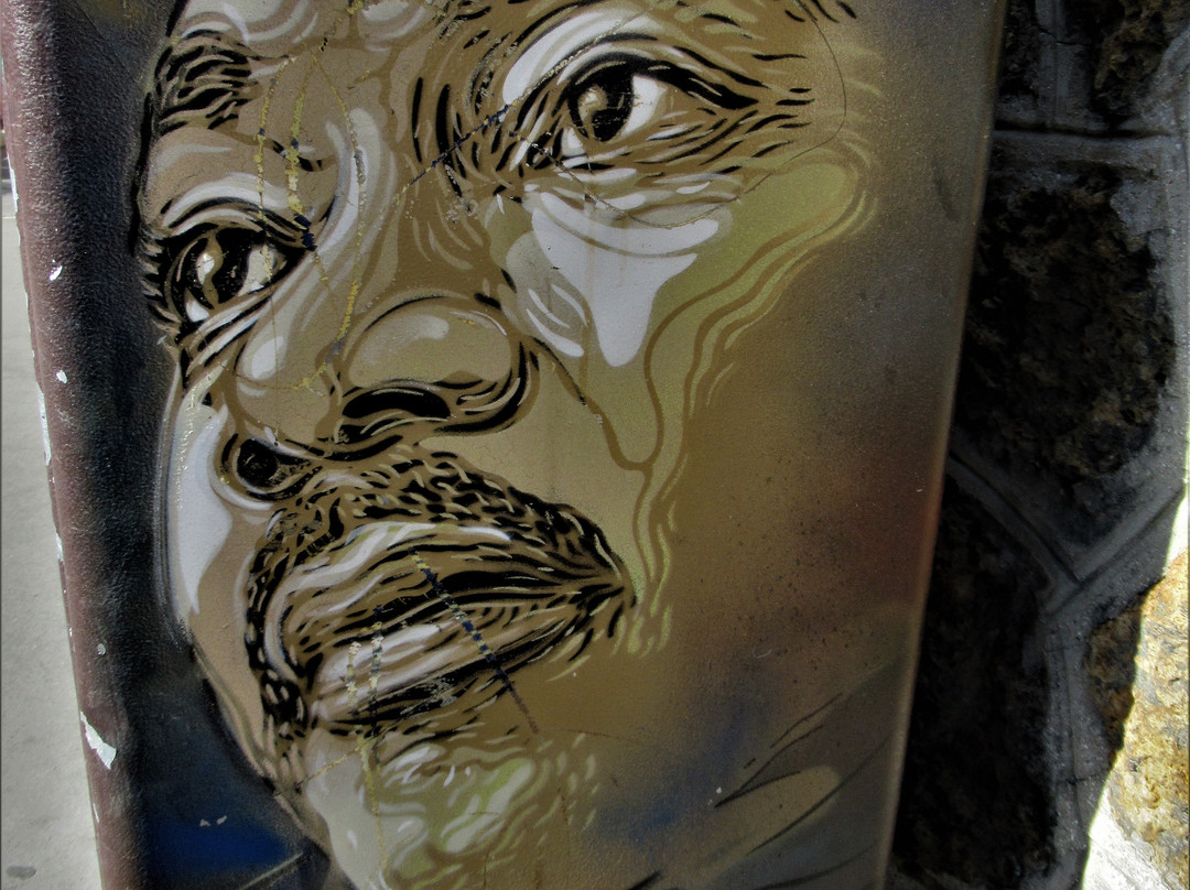 Fresque Martin Luther King景点图片