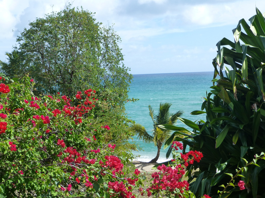 Karibea Sainte-Luce Hotel主图