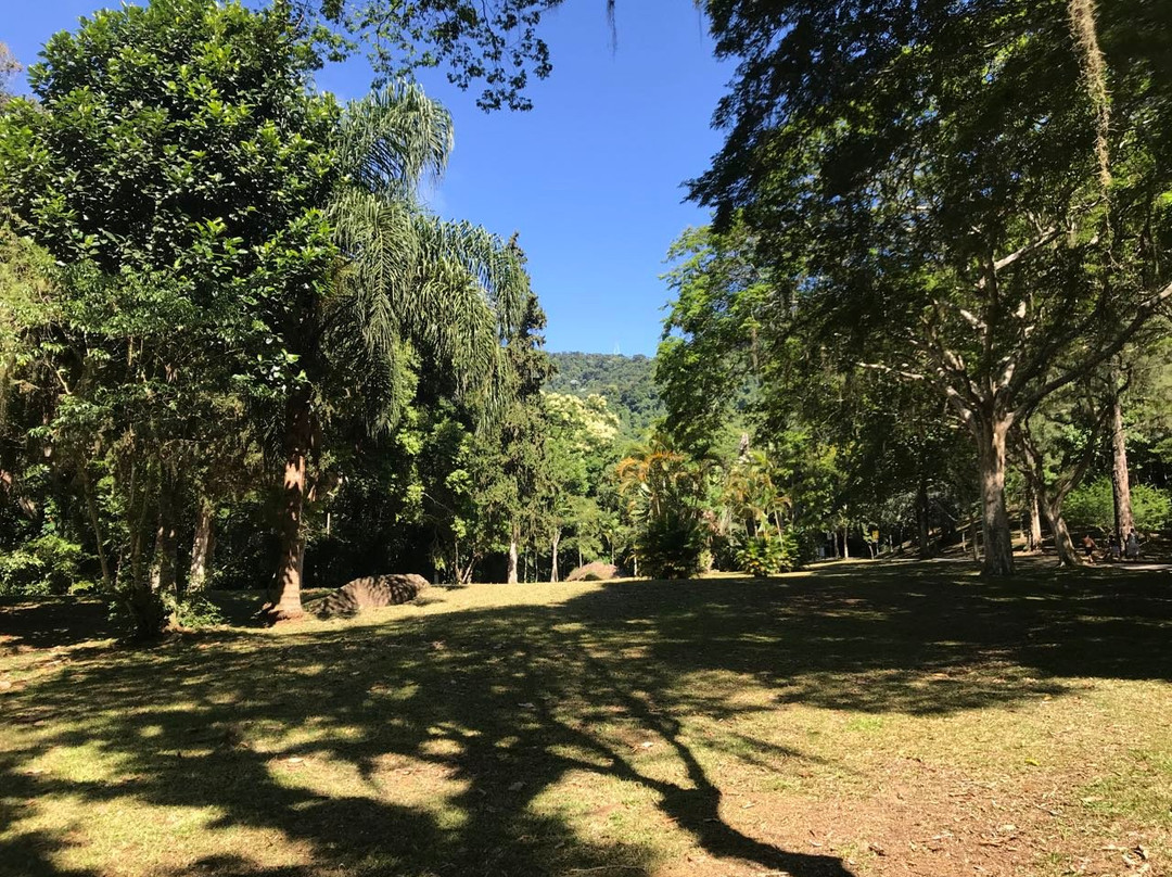 Parque Natural Municipal Da Cidade景点图片