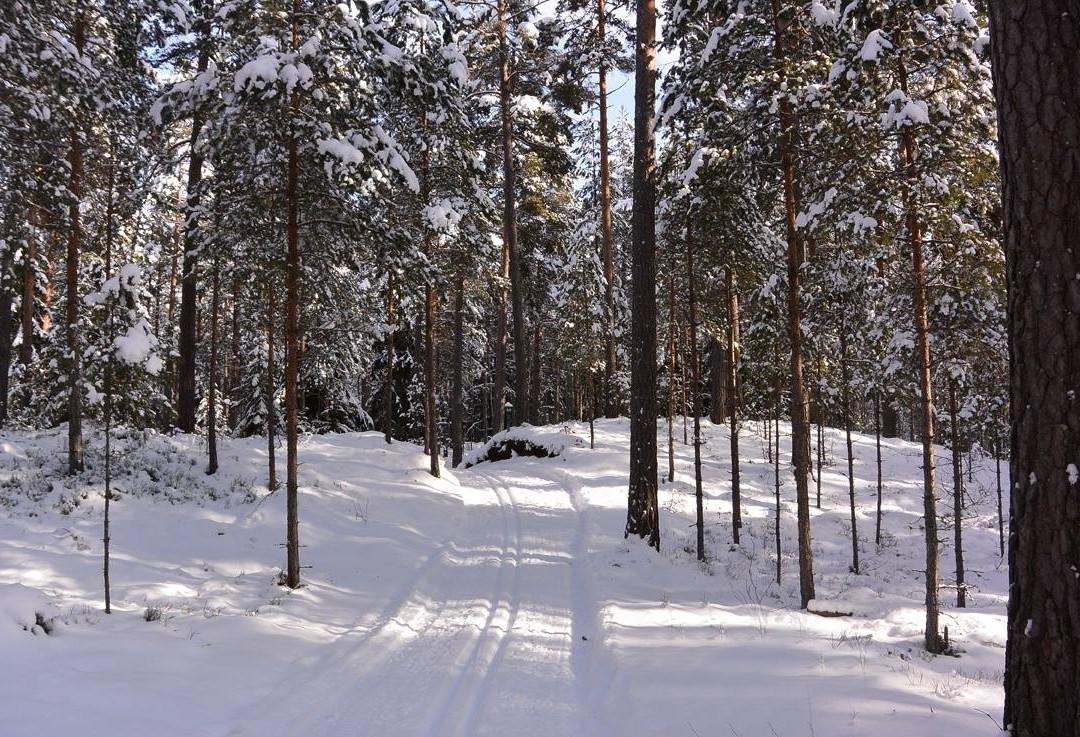 Illerns naturreservat-Tranas必去景点