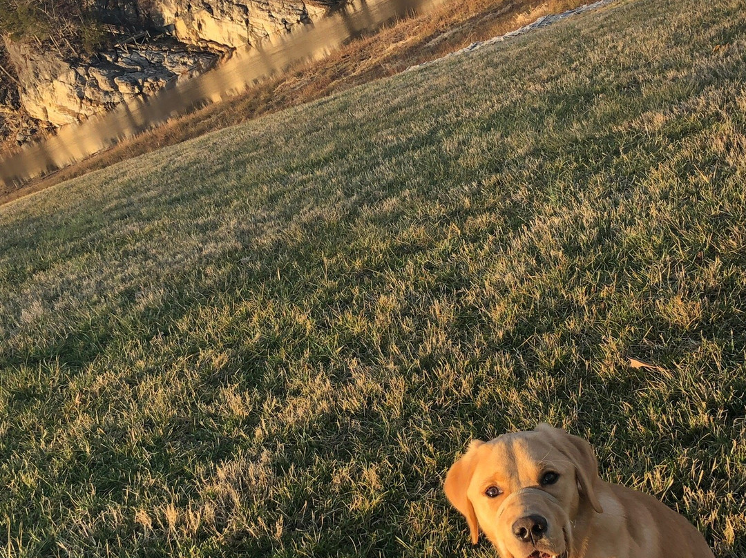 Winged Deer Park-约翰逊城必去景点