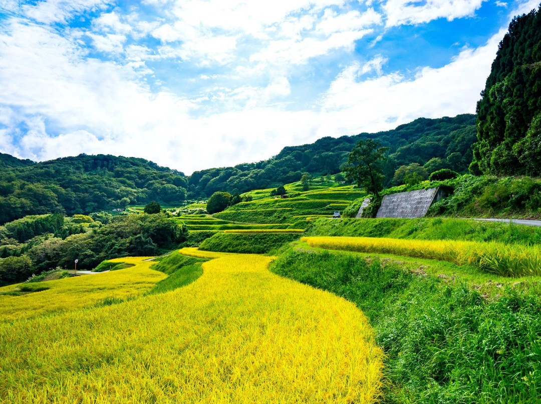 Iwakubi Shoryu Tanada-佐渡市必去景点