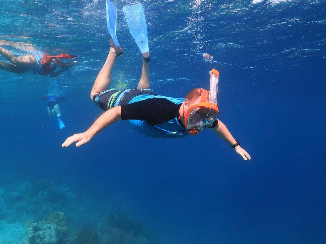 Sea Cow Snorkeling Bonaire景点图片