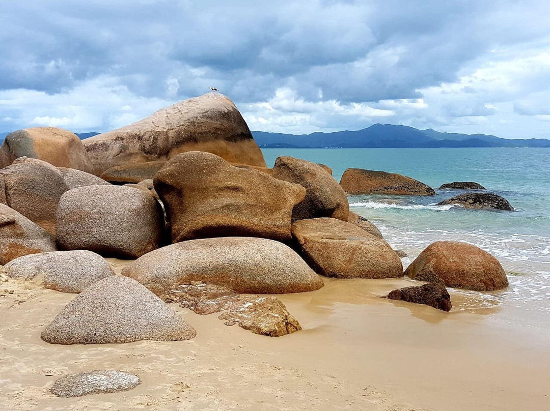 Suenos de Verano主图