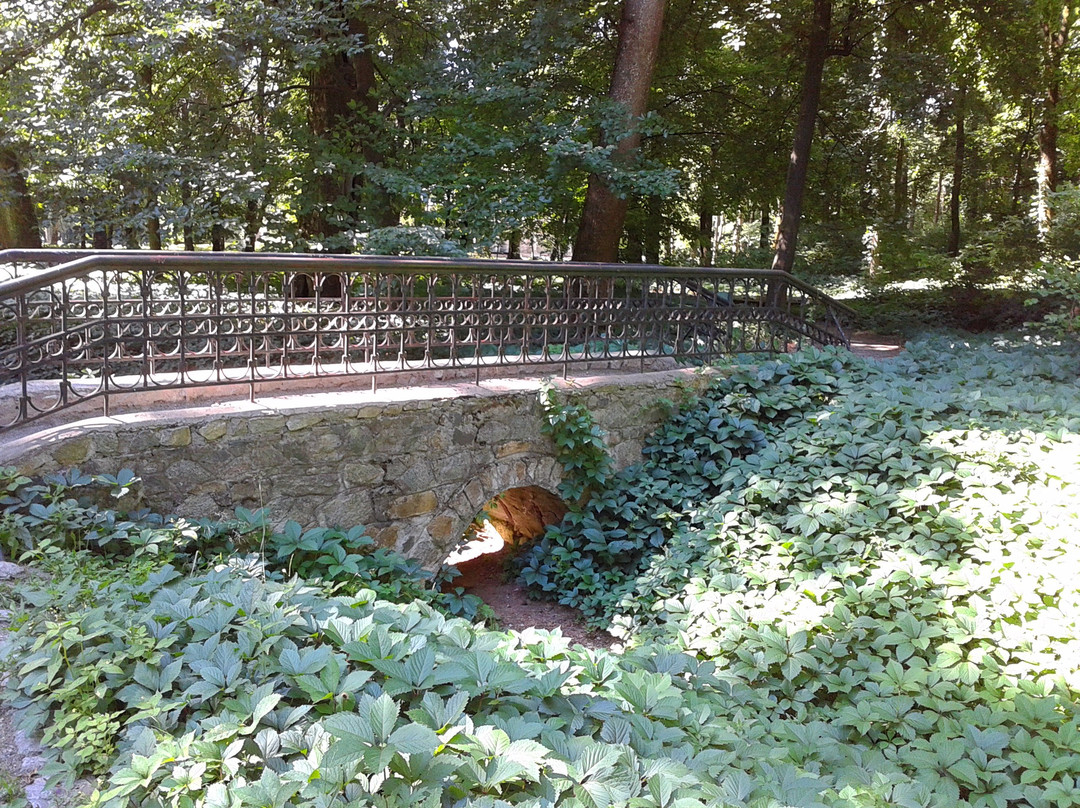 Arboretum Oleksandriya景点图片