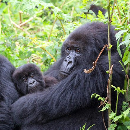 Albertine Tours-吉佳利必去景点