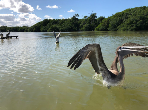 Mayali Tours-图伦必去景点
