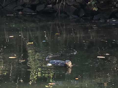 萨仁迪住宿加早餐旅馆主图