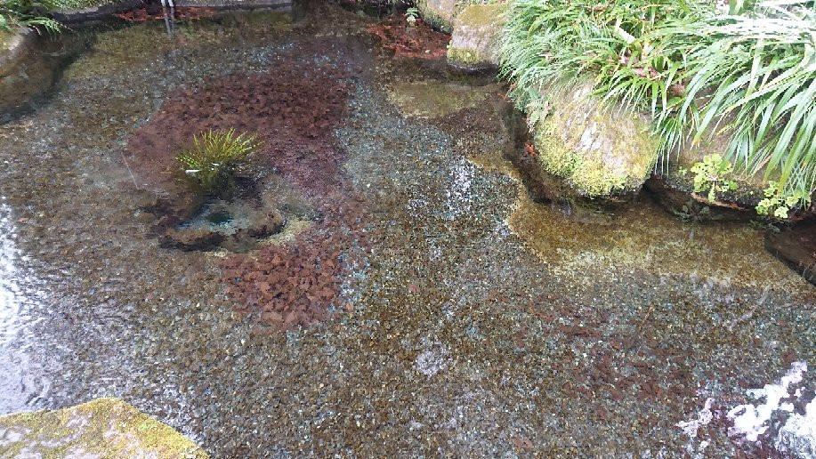 Myojin Pond Meisui Park景点图片