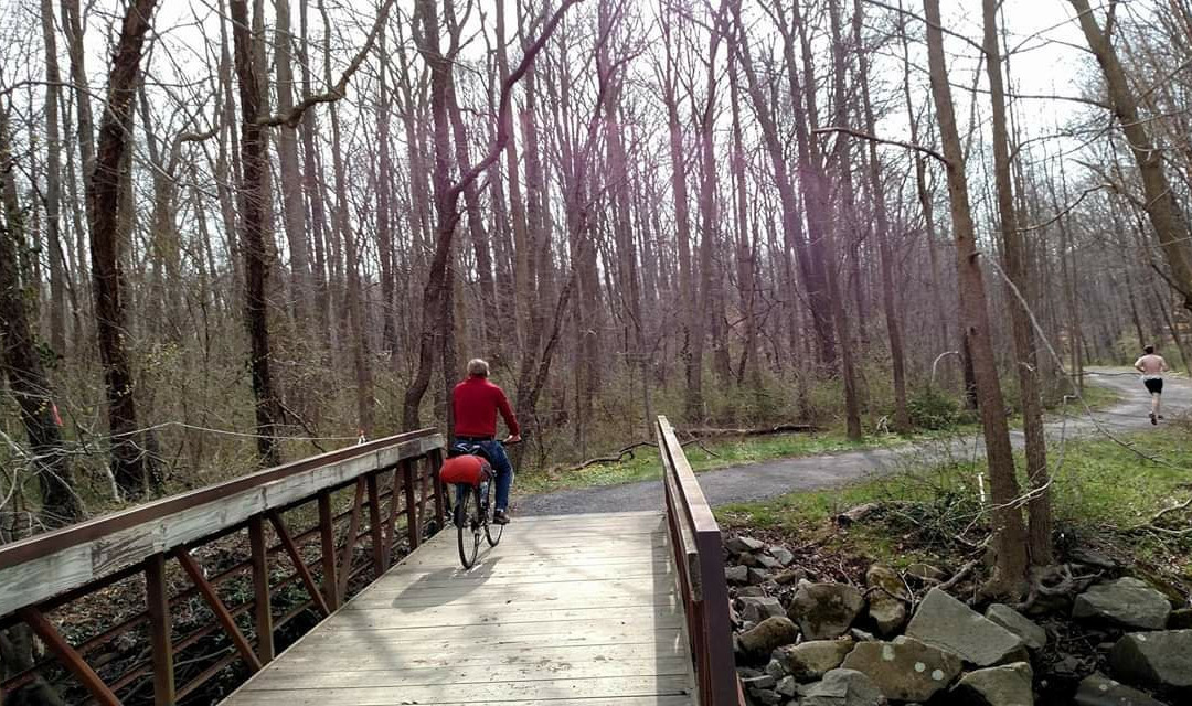 Lake Accotink Trail景点图片